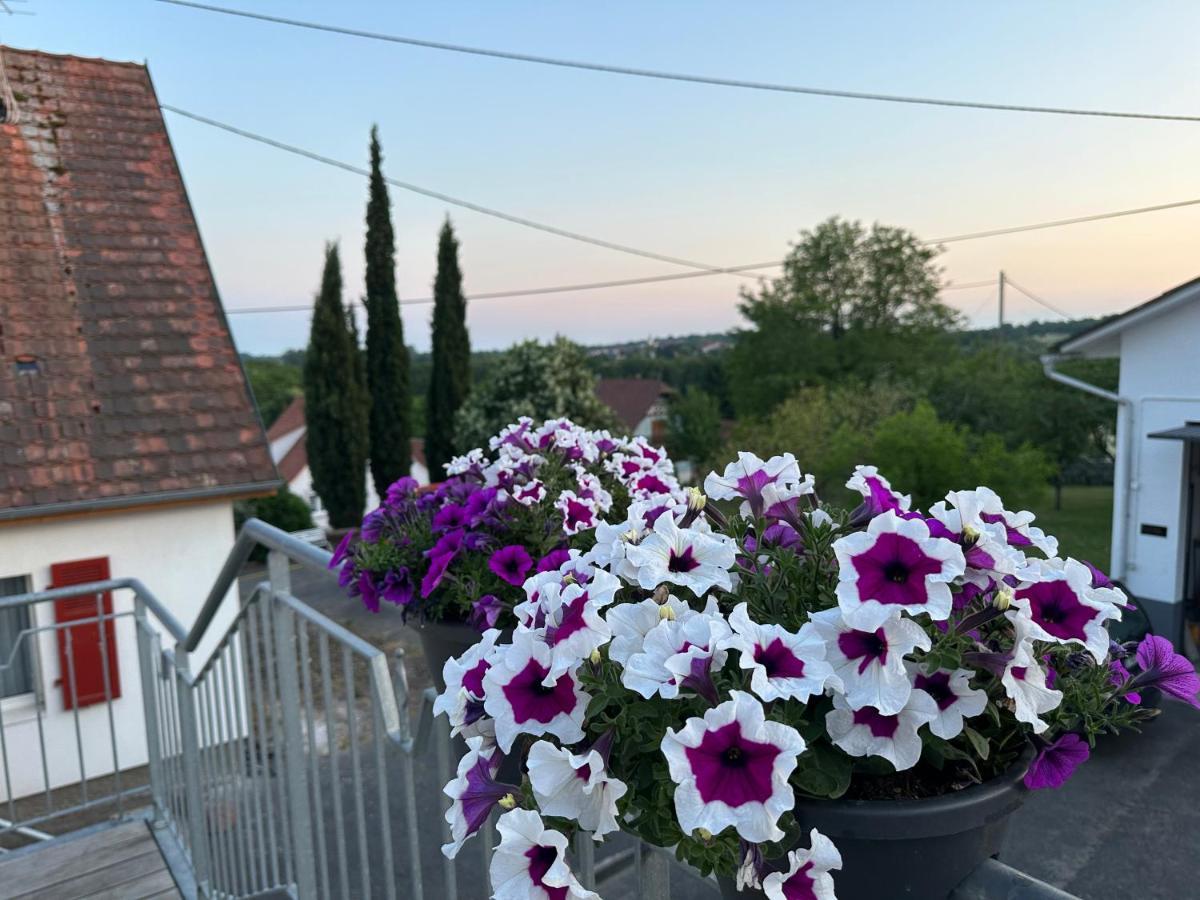 Au Parfum Des Roses Lejlighed Gunstett Eksteriør billede